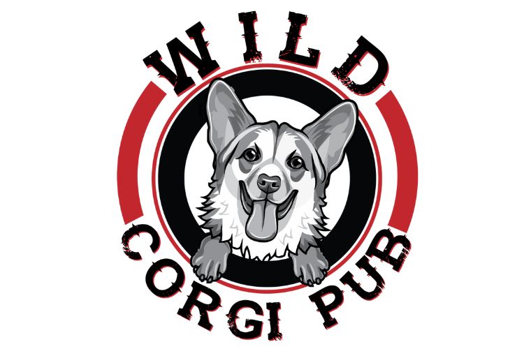 wild corgi