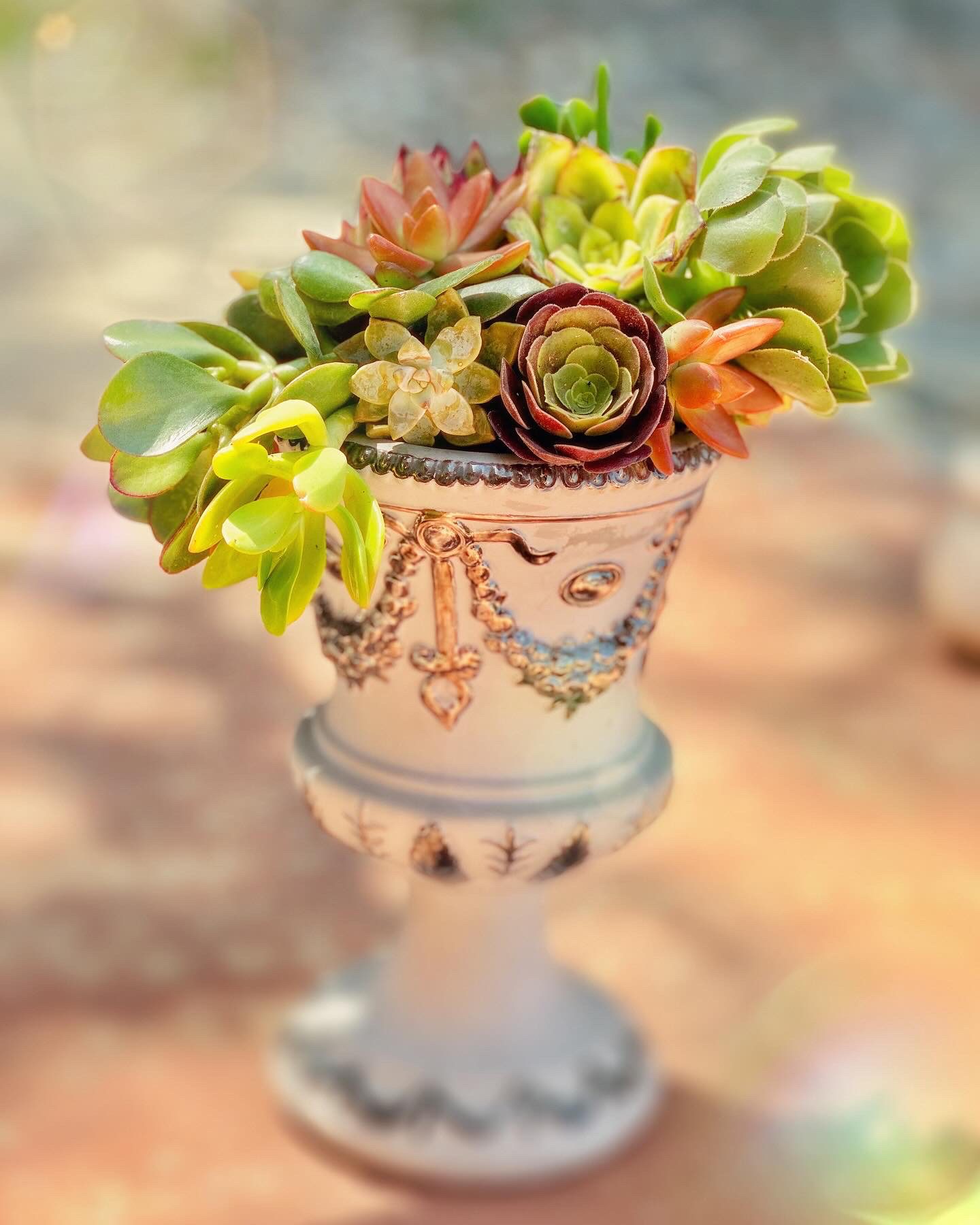 C37AB910 0D99 4A6A 8B48 D598E28C3E50