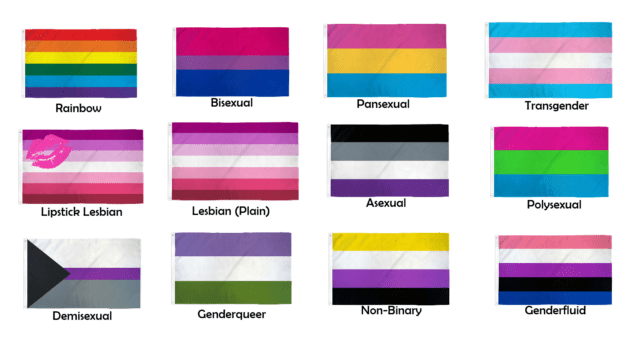 Rainbow LGBT Assorted Pride Flags Flag World Company